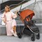 Детская прогулочная коляска Pituso Ruta PU BD206 Orange 1801745034 - фото 106992