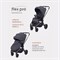 Детская прогулочная коляска Rant Flex Pro 2023 Graphite 885626784 - фото 107141