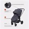Детская прогулочная коляска Rant Flex Pro 2023 Graphite 885626784 - фото 107192