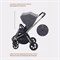 Детская прогулочная коляска Rant Flex Pro 2023 Graphite 885626784 - фото 107194