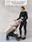 Прогулочная коляска AmaroBaby Airy бежевый 965910689 - фото 107335