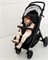 Прогулочная коляска Amarobaby Strollin'Joy черный 559762821 - фото 107370