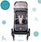 Детская прогулочная коляска Acarento Antero AS121 Sandi 232700627 - фото 108874