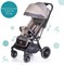 Детская прогулочная коляска Acarento Antero AS121 Sandi 232700627 - фото 108875