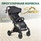 Детская прогулочная коляска Farfello Sunrise черный 1445022670 - фото 109218