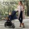 Прогулочная коляска Sweet Baby Colibri Dark Blue 191620438 - фото 109256