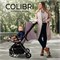 Прогулочная коляска Sweet Baby Colibri Rose 1468313862 - фото 109312
