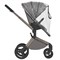 Детская коляска Anex Flo 2 в 1 Charm 1522065045 - фото 1093