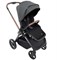Коляска прогулочная Chicco Mysa Black Satin 1366992089 - фото 109571