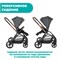 Коляска прогулочная Chicco Mysa Black Satin 1366992089 - фото 109579