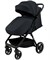 Детская прогулочная коляска Pituso Camino Plus Black 545627300 - фото 110310