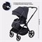Детская прогулочная коляска Rant Moss Graphite 1691718677 - фото 110589