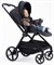 Детская прогулочная коляска Rant Moss Graphite 1691718677 - фото 110598