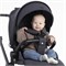 Детская прогулочная коляска Rant Moss Graphite 1691718677 - фото 110601