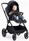 Детская прогулочная коляска Rant Moss Graphite 1691718677 - фото 110626