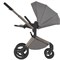 Детская коляска Anex Flo 2 в 1 Charm 1522065045 - фото 1106