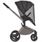 Детская коляска Anex Flo 2 в 1 Charm 1522065045 - фото 1110