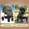 Прогулочная коляска Kidzi Storm Olive 903550636 - фото 111222
