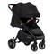 Прогулочная коляска Labala Baloni Black 360291897 - фото 111252