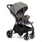 Прогулочная коляска Labala Baloni Light Grey 1699103900 - фото 111297