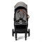 Прогулочная коляска Labala Baloni Light Grey 1699103900 - фото 111307