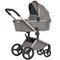 Детская коляска Anex Flo 2 в 1 Charm 1522065045 - фото 1113