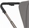 Детская коляска Anex Flo 2 в 1 Charm 1522065045 - фото 1114