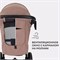 Детская прогулочная коляска Rant Basic Alpine 2025 Brown 1301956880 - фото 112316