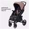 Детская прогулочная коляска Rant Basic Alpine 2025 Brown 1301956880 - фото 112322