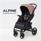 Детская прогулочная коляска Rant Basic Alpine 2025 Brown 1301956880 - фото 112324