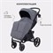 Детская прогулочная коляска Rant Basic Alpine 2025 Graphite 69266772 - фото 112350