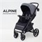 Детская прогулочная коляска Rant Basic Alpine 2025 Graphite 69266772 - фото 112353