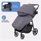 Детская прогулочная коляска Rant Volt RA353 Graphite 844429250 - фото 112419