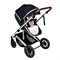 Коляска-трансформер Sweet Baby Amare Black 1788400271 - фото 112985