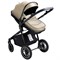 Коляска-трансформер Sweet Baby Ranger 2 в 1 Beige Glossy 658043777 - фото 113014