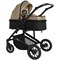 Коляска-трансформер Sweet Baby Amare GL 2 в 1 Beige 543317861 - фото 113139