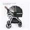 Детская коляска-трансформер 3 в 1 Tomix Sunny Jet black 598882838 - фото 113210