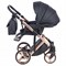 Детская коляска Adamex Chantal Star Collection 2 в 1 STAR101 черный+розовый 458629722 - фото 11328