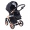 Детская коляска Adamex Chantal Star Collection 2 в 1 STAR101 черный+розовый 458629722 - фото 11330