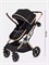 Детская коляска Rant basic Pulsar Gold 2 в 1 Black 927406920 - фото 113957