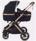 Детская коляска Rant basic Pulsar Gold 2 в 1 Black 927406920 - фото 113968