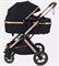 Детская коляска Rant basic Pulsar Gold 2 в 1 Black 927406920 - фото 113969