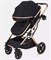 Детская коляска Rant basic Pulsar Gold 2 в 1 Black 927406920 - фото 113973
