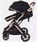 Детская коляска Rant basic Pulsar Gold 2 в 1 Black 927406920 - фото 113977