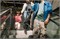 Дождевик Joolz Hub2 1871471605 - фото 117259