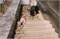 Дождевик Joolz Hub2 1871471605 - фото 117261
