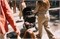 Дождевик Joolz Hub2 1871471605 - фото 117264