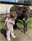 Рюкзак Childhome My First Bag CWKIDBPC PINK/COPPE 166865756 - фото 118093