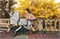 Люлька для коляски UPPAbaby Cruz и Vista V2 STELLA 1139423302 - фото 118651
