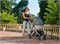Люлька для коляски UPPAbaby Cruz и Vista V2 STELLA 1139423302 - фото 118669